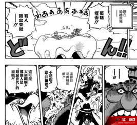 海贼王漫画863话汉化版图解甚平加入草帽