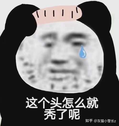22年考管理类联考需要报辅导班吗