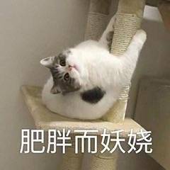 现在的爱肯拿是多少一斤了