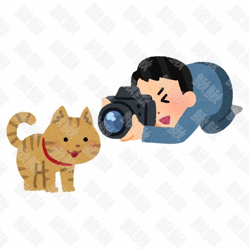 宠物摄影师给小狗狗猫咪小猫拍照的摄影师手绘卡通插画手绘png儿童插画免扣素材1阿猫阿狗
