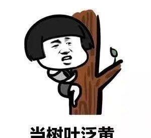 开心一刻以前亲戚家承包了一个小工程在赶工,就找我和我妈去帮忙