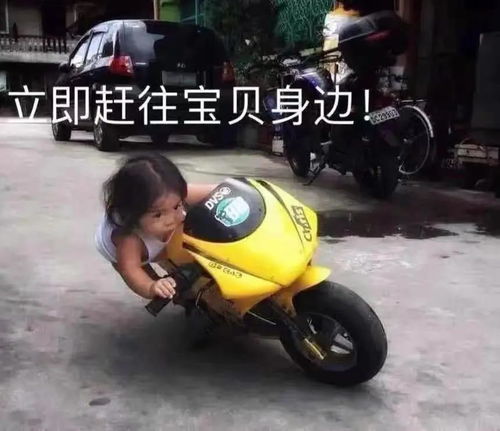 巨沙雕超级搞笑表情包头像