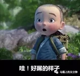 坐马桶上图个乐