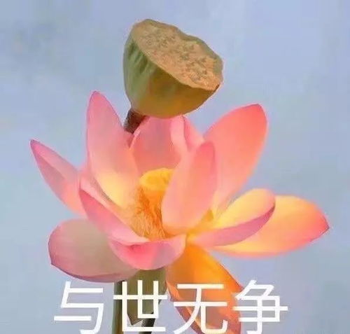 都是别人家的国庆