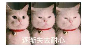 教育金有什么作用