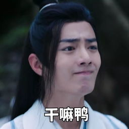 今日份的沙雕表情包