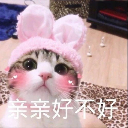 表情包沙雕表情包第八百三十三期