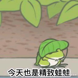 旅行青蛙同人表情包旅行青蛙搞笑带字表情包