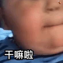 各种有趣的斗图表情包呀