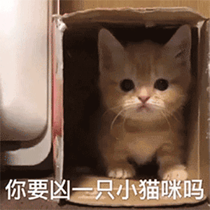 幽默搞笑表情包想到你,我就春心荡漾