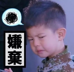 沙溢给杨幂送祝福被回白展堂的尴尬一笑,这些大明星比你们还喜欢用自己的表情包