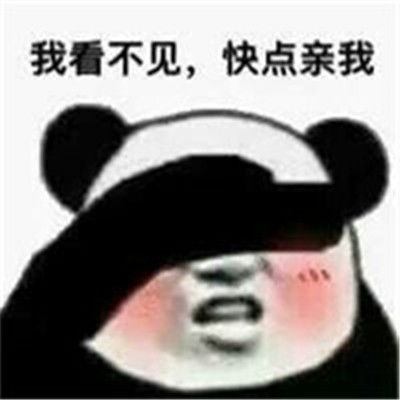 搞笑好玩表情包熊猫