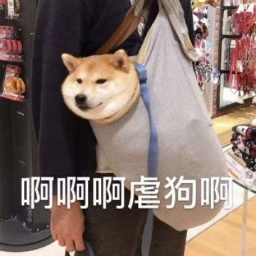 表情包头像搞笑图片带文字的单身狗头像