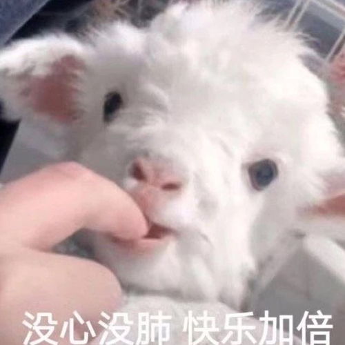 一些战羡最开始的定装图高马尾纯舔颜