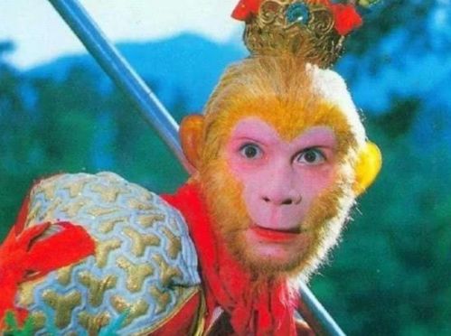 吴承恩故居澄清挂满六小龄童照片,还记得猴年春晚的意难平吗