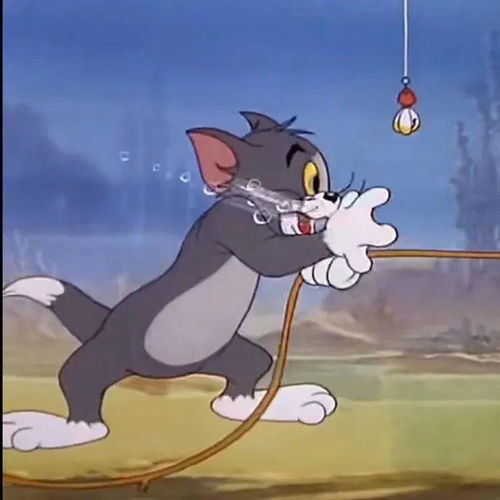 猫和老鼠情侣头像