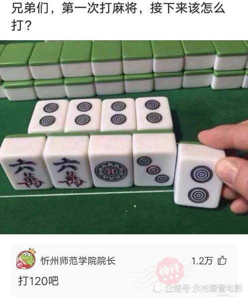 神回复不懂就问,为什么大巴车楼梯上放这么多石头儿