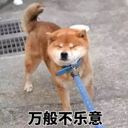 标签二维码可能让你损失几百万农药企业们这些雷不能踩