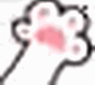 养猫必读,如何从猫爪下拯救沙发
