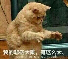 搞笑可爱表情包