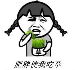 湿气重如何影响广东人的生活