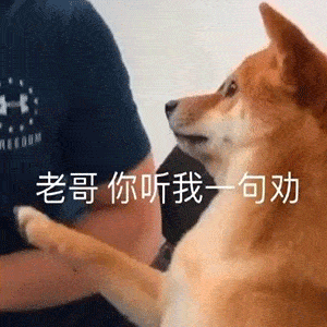 表情sir6.11