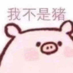 男生给女生发猪头的表情是什么意思