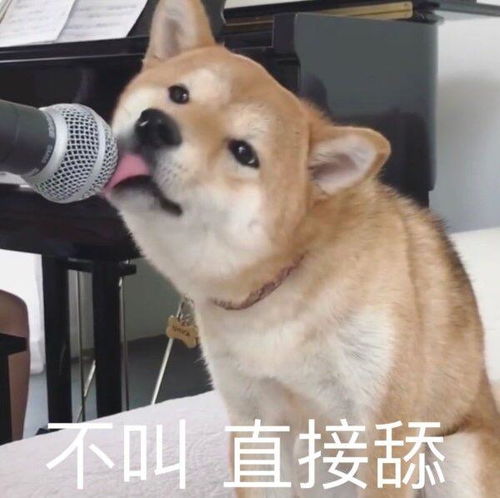 爆笑图文佐罗私会情人,敲门声响起佐罗跳窗,然后卒