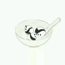 喜欢猫猫狗狗的小伙伴不可错过的萌宠情侣头像