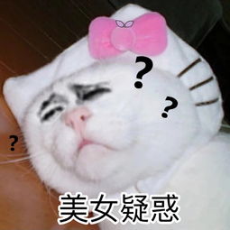 搞笑配字qq表情,搞笑配字图片合集,带字搞笑表情图片大全