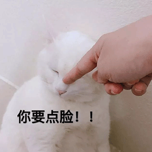搞笑表情包,拿走不谢