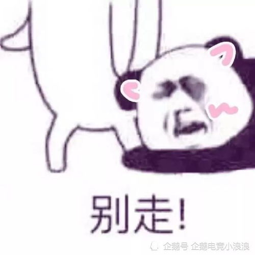 单身狗先别划走孤寡2020,换个头像骗骗自己