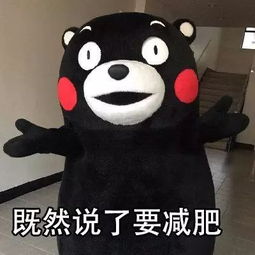 熊本熊表情包做人要自律,既然说了要减肥,要早睡早起
