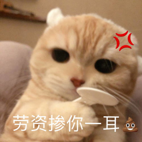 沙雕表情包共享