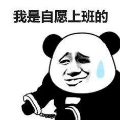 假期过后,别慌这里还有更多惊喜等你发现