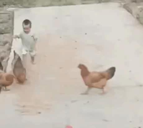 每日一笑小孩搞笑gif动图,专治不笑