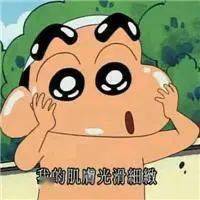 蜡笔小新表情包今天要做的事就是搞钱