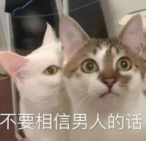 搞笑表情包,嗷呜,别惹我我要准备生气了啦