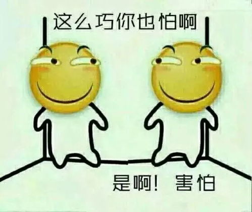 圣诞节搞笑表情包超级技能
