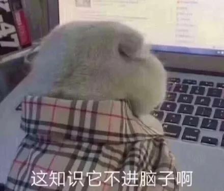 同时风华正茂,何甘他人之后教育