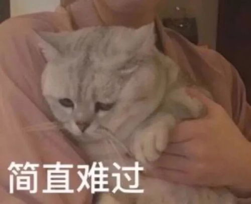 热门斗图表情包丨累得像个憨包