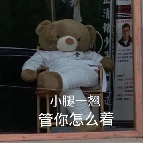 沙雕表情包有意思的文案