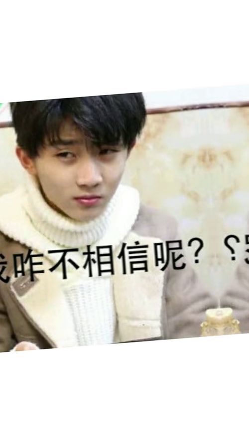 tnt时代少年团tnt表情包丁程鑫什么意思哦