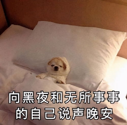 wildfieldhealth天天运动为什么免疫力还很差