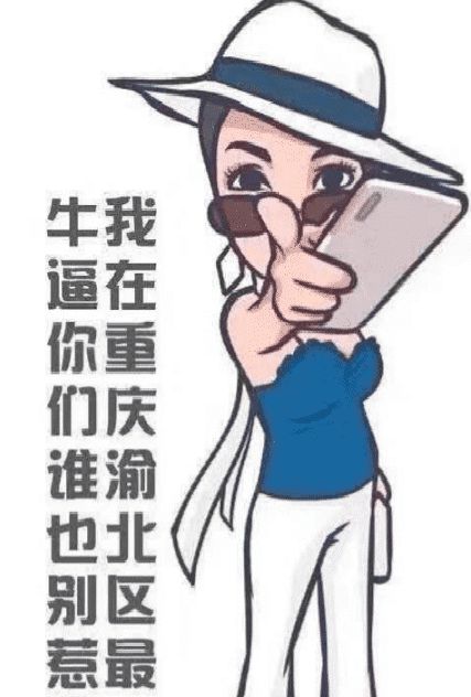 保时捷女司机被网友做成表情包看完之后只想说太有才了