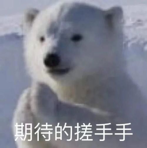 各类文字表情包搞笑可爱