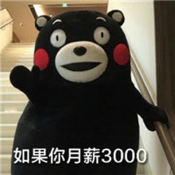 熊本熊微信表情包搞笑毒鸡汤月薪三千买车买房的方法腾牛个性网