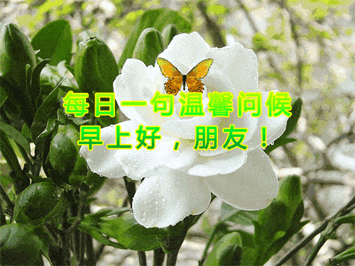 特漂亮的早安动态图片大全带字温馨的早上好祝福语大全简短