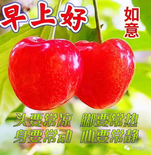 晚上好图片大全,晚上好漂亮表情图片,愿你健康好梦连连
