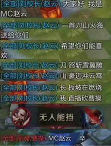 搞笑表情包斗图赵云